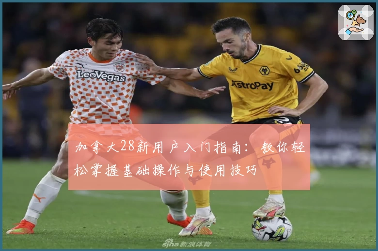 加拿大28新用户入门指南：教你轻松掌握基础操作与使用技巧