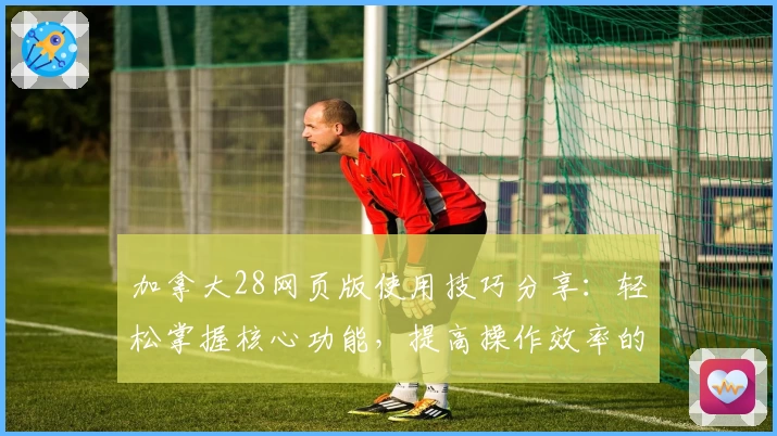 加拿大28网页版使用技巧分享：轻松掌握核心功能，提高操作效率的方法解析