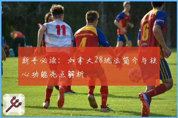 新手必读：加拿大28玩法简介与核心功能亮点解析