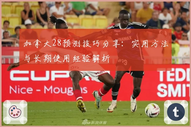 加拿大28预测技巧分享：实用方法与长期使用经验解析