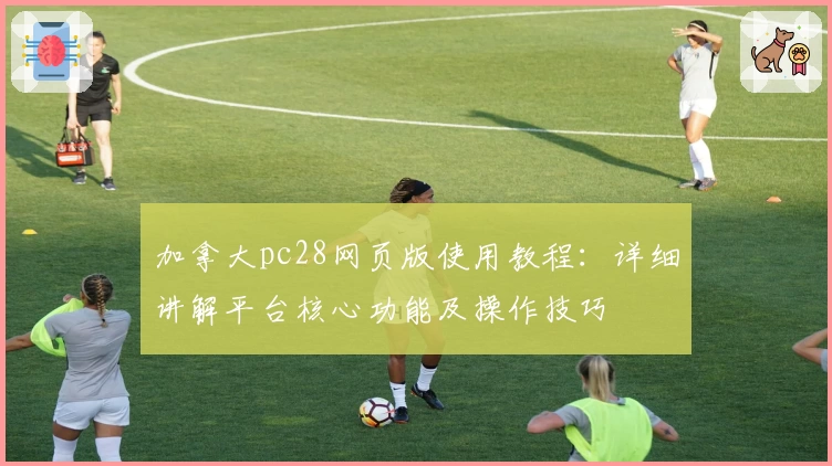 加拿大pc28网页版使用教程：详细讲解平台核心功能及操作技巧