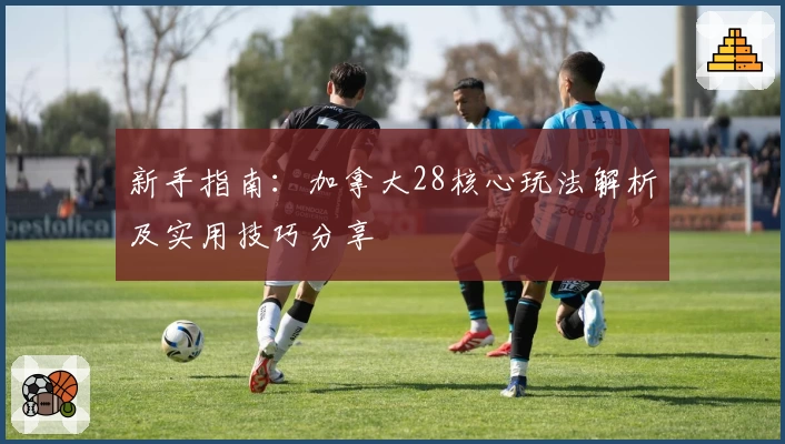 新手指南：加拿大28核心玩法解析及实用技巧分享