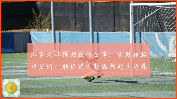 加拿大28预测技巧分享:实用经验与分析,助你提升数据判断力与操作效率