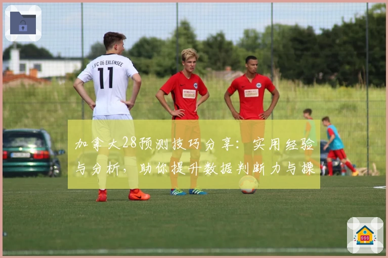 加拿大28预测技巧分享：实用经验与分析，助你提升数据判断力与操作效率