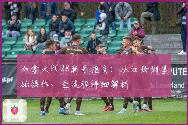 加拿大PC28新手指南：从注册到基础操作，全流程详细解析