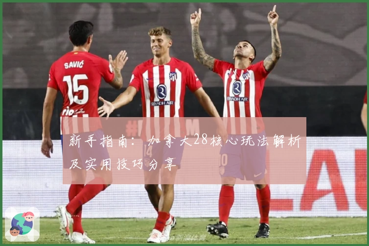 新手指南：加拿大28核心玩法解析及实用技巧分享