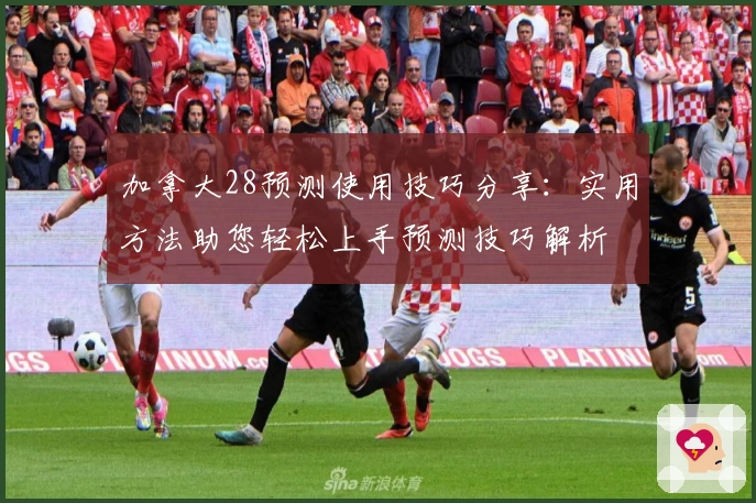 加拿大28预测使用技巧分享：实用方法助您轻松上手预测技巧解析