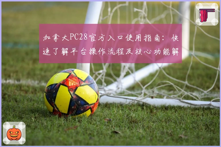 加拿大PC28官方入口使用指南:快速了解平台操作流程及核心功能解析