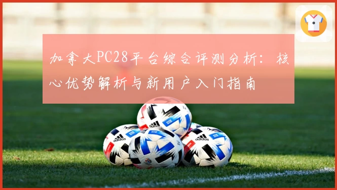 加拿大PC28平台综合评测分析：核心优势解析与新用户入门指南