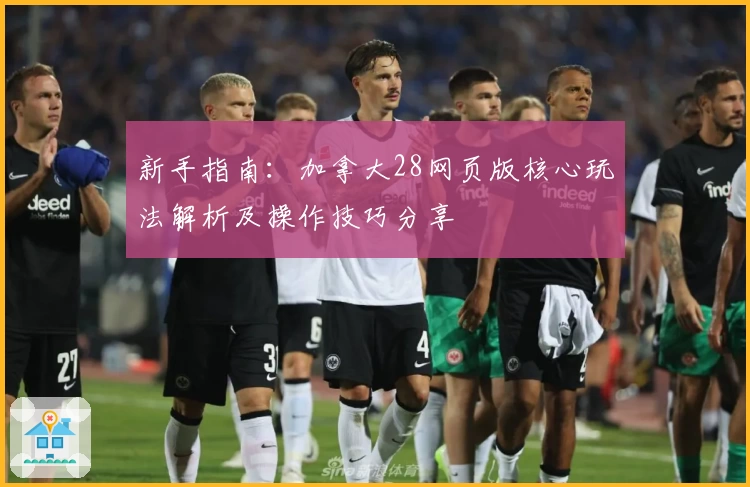 新手指南:加拿大28网页版核心玩法解析及操作技巧分享